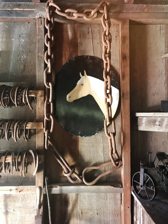 Horseandhorseshoesfotor