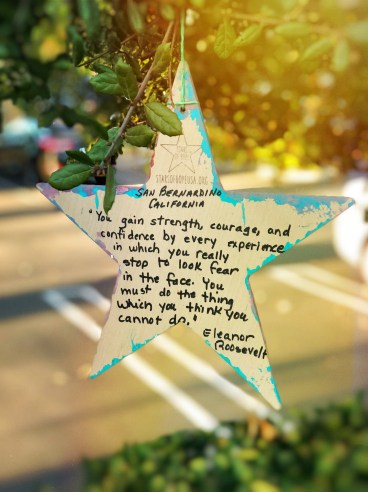 SanBerduSchoolStarSENDjk